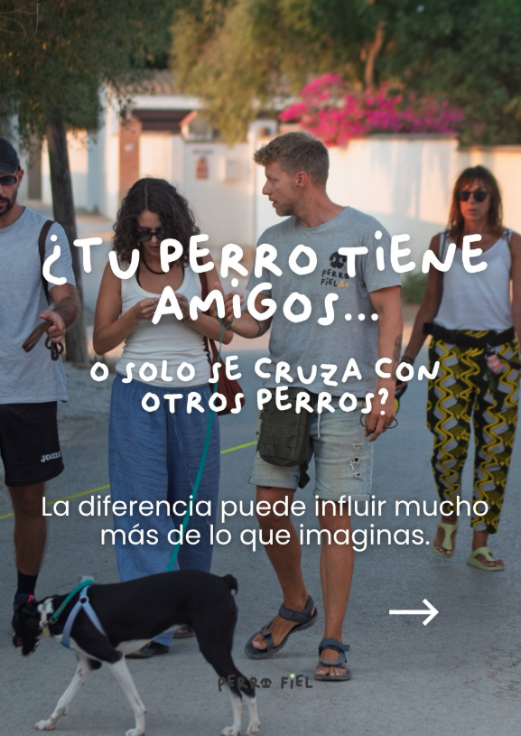 Perro Fiel