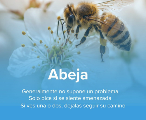 Zero Plagas